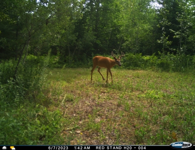 The Osage Hunting Lodge - 443 Acres In Becker County, MN - image 43
