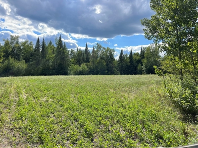 The Osage Hunting Lodge - 443 Acres In Becker County, MN - image 22