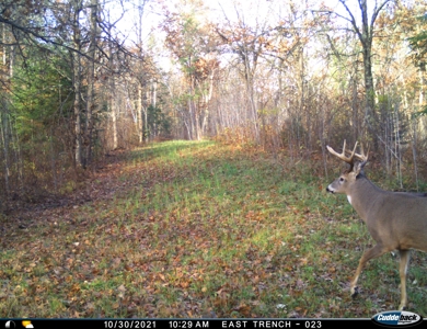 The Osage Hunting Lodge - 443 Acres In Becker County, MN - image 41