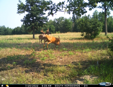 The Osage Hunting Lodge - 443 Acres In Becker County, MN - image 40