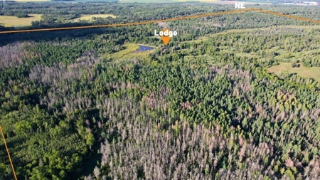 The Osage Hunting Lodge - 443 Acres In Becker County, MN - image 4