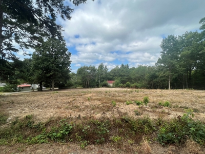 Land for Sale in Mena, Arkansas - image 1