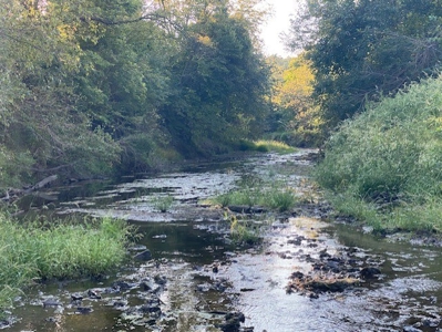 160 Acres & Ranch Home For Sale In Maysville Mo - image 4