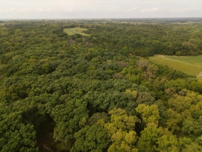 160 Acres & Ranch Home For Sale In Maysville Mo - image 7