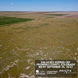 Prowers County, Co ~ 656 Ac ~ Private Auction ~ Expired Crp - image 5