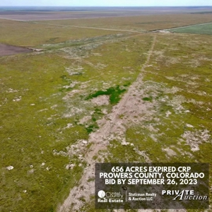 Prowers County, Co ~ 656 Ac ~ Private Auction ~ Expired Crp - image 8