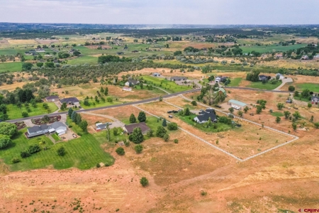 Country Home on Acreage in Cortez, Colorado! - image 5