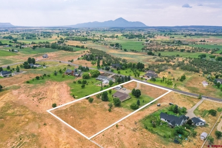 Country Home on Acreage in Cortez, Colorado! - image 3