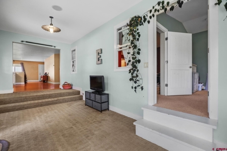 Country Home on Acreage in Cortez, Colorado! - image 31