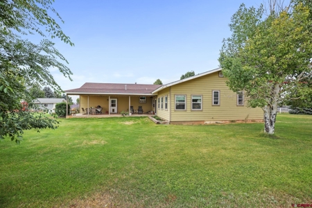 Country Home on Acreage in Cortez, Colorado! - image 7