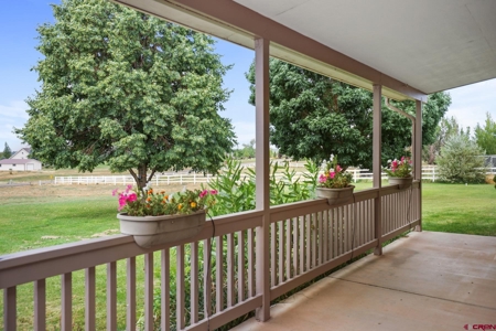 Country Home on Acreage in Cortez, Colorado! - image 9