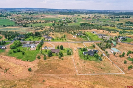 Country Home on Acreage in Cortez, Colorado! - image 4