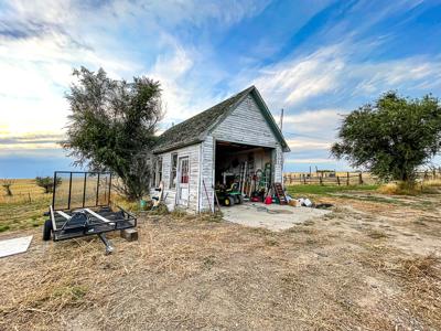 Mt Small Acreage Grazing Renovated House, Barn, Outbuildings - image 13