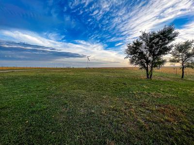 Mt Small Acreage Grazing Renovated House, Barn, Outbuildings - image 8