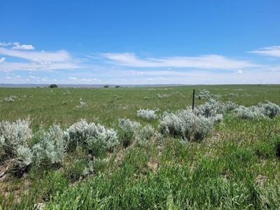 Mt Small Acreage Grazing Renovated House, Barn, Outbuildings - image 33