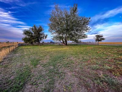 Mt Small Acreage Grazing Renovated House, Barn, Outbuildings - image 10