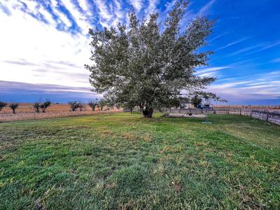 Mt Small Acreage Grazing Renovated House, Barn, Outbuildings - image 7