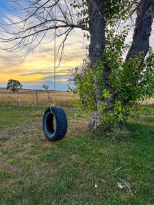 Mt Small Acreage Grazing Renovated House, Barn, Outbuildings - image 11