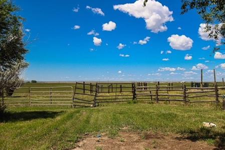 Mt Small Acreage Grazing Renovated House, Barn, Outbuildings - image 34