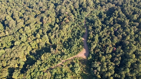 381 Acres Hunting Land for Sale in Natchez, MS - image 42