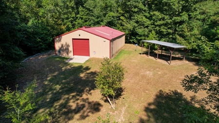 381 Acres Hunting Land for Sale in Natchez, MS - image 3