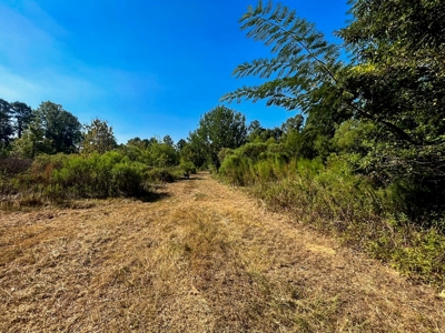 381 Acres Hunting Land for Sale in Natchez, MS - image 23