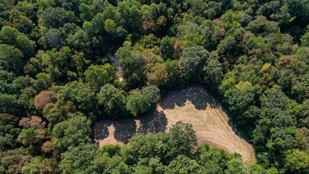 381 Acres Hunting Land for Sale in Natchez, MS - image 19