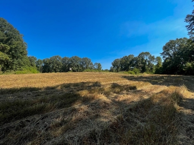 381 Acres Hunting Land for Sale in Natchez, MS - image 17