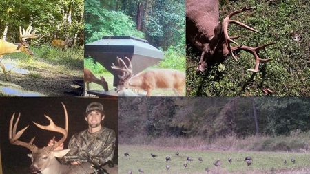 381 Acres Hunting Land for Sale in Natchez, MS - image 44