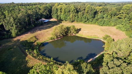 381 Acres Hunting Land for Sale in Natchez, MS - image 12