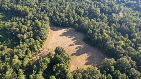 381 Acres Hunting Land for Sale in Natchez, MS - image 43