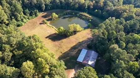 381 Acres Hunting Land for Sale in Natchez, MS - image 1