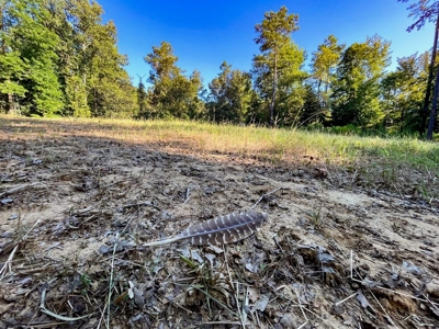 381 Acres Hunting Land for Sale in Natchez, MS - image 40