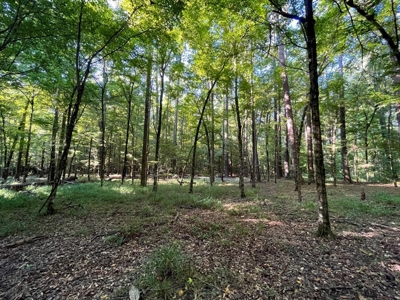 381 Acres Hunting Land for Sale in Natchez, MS - image 38