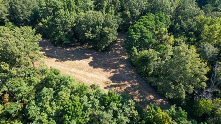 381 Acres Hunting Land for Sale in Natchez, MS - image 28