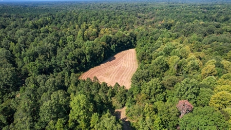 381 Acres Hunting Land for Sale in Natchez, MS - image 22