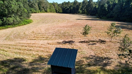 381 Acres Hunting Land for Sale in Natchez, MS - image 33