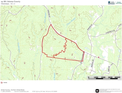 381 Acres Hunting Land for Sale in Natchez, MS - image 48
