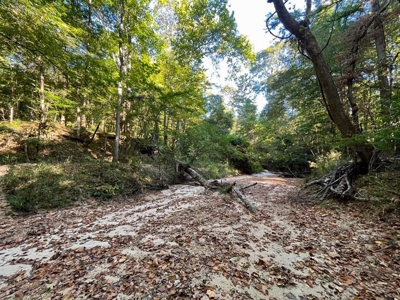 381 Acres Hunting Land for Sale in Natchez, MS - image 37