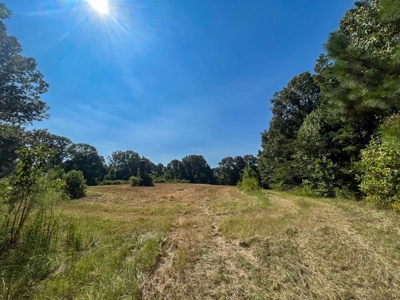 381 Acres Hunting Land for Sale in Natchez, MS - image 18