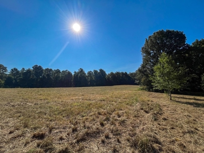 381 Acres Hunting Land for Sale in Natchez, MS - image 31