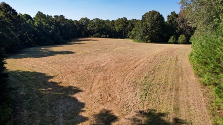381 Acres Hunting Land for Sale in Natchez, MS - image 34