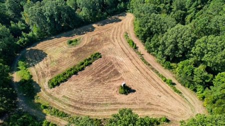 381 Acres Hunting Land for Sale in Natchez, MS - image 21