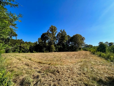 381 Acres Hunting Land for Sale in Natchez, MS - image 25