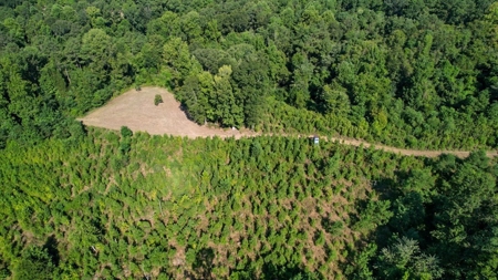 381 Acres Hunting Land for Sale in Natchez, MS - image 27