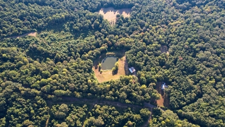 381 Acres Hunting Land for Sale in Natchez, MS - image 13