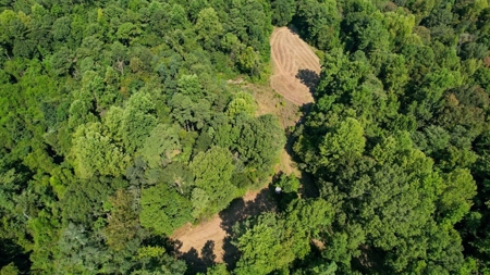 381 Acres Hunting Land for Sale in Natchez, MS - image 20