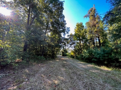381 Acres Hunting Land for Sale in Natchez, MS - image 36