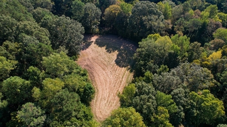 381 Acres Hunting Land for Sale in Natchez, MS - image 26