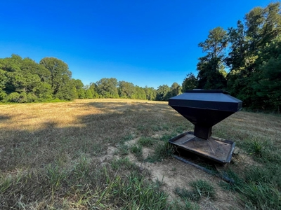 381 Acres Hunting Land for Sale in Natchez, MS - image 30
